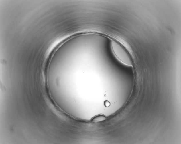X0000091360936200708101052