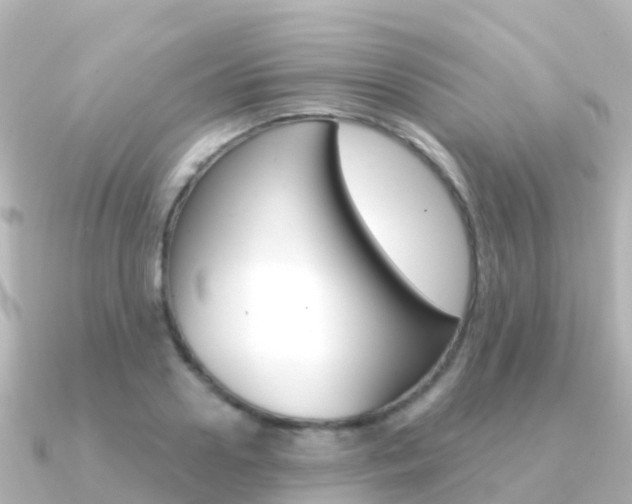 X0000091360938200708101052