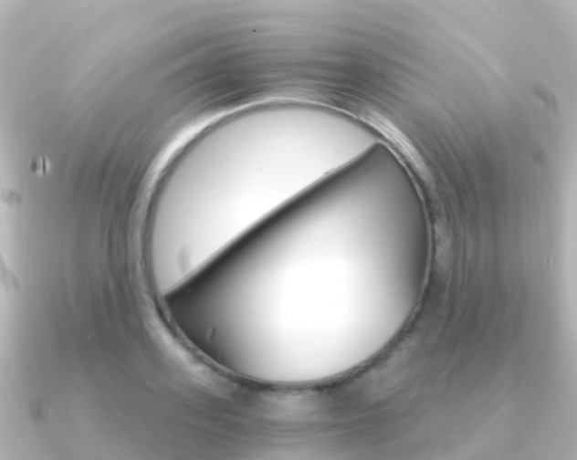 X0000091360939200708101052
