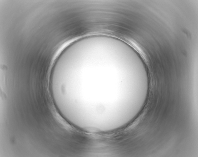X0000091360940200708101052