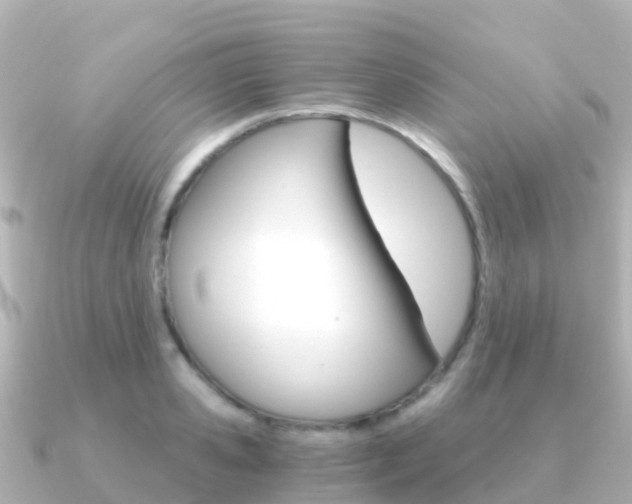 X0000091360941200708101052