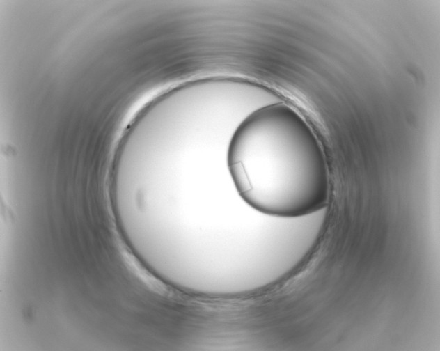X0000091360942200708101052