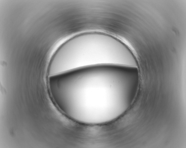 X0000091360943200708101052