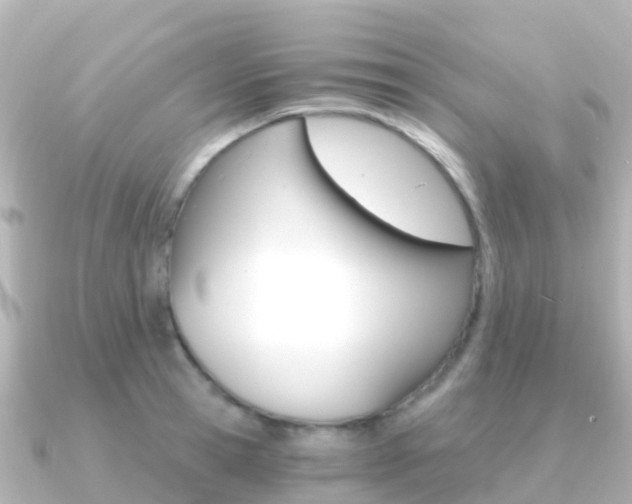 X0000091360945200708101052