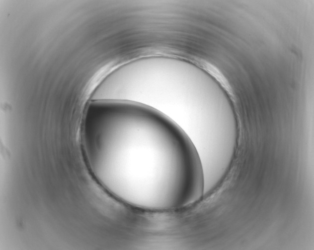 X0000091360946200708101052