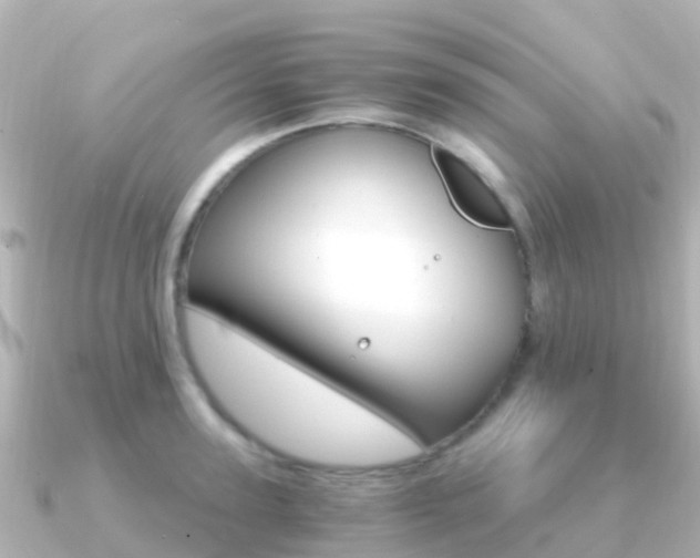 X0000091360947200708101052