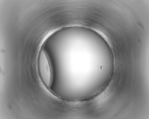 X0000091360949200708101052