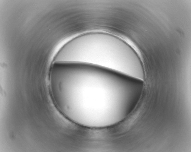 X0000091360951200708101052