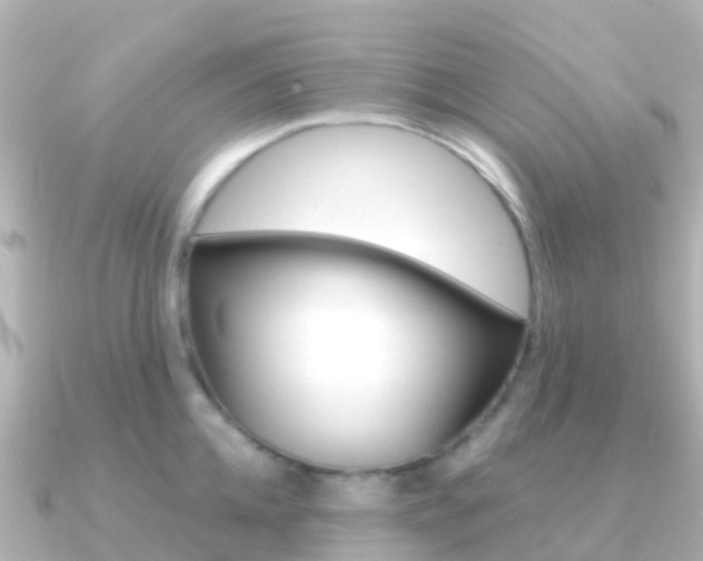 X0000091360952200708101052