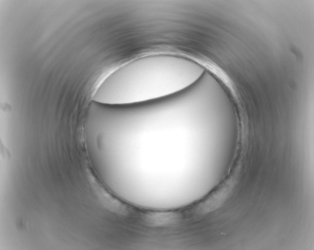 X0000091360953200708101052