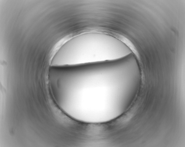 X0000091360954200708101052