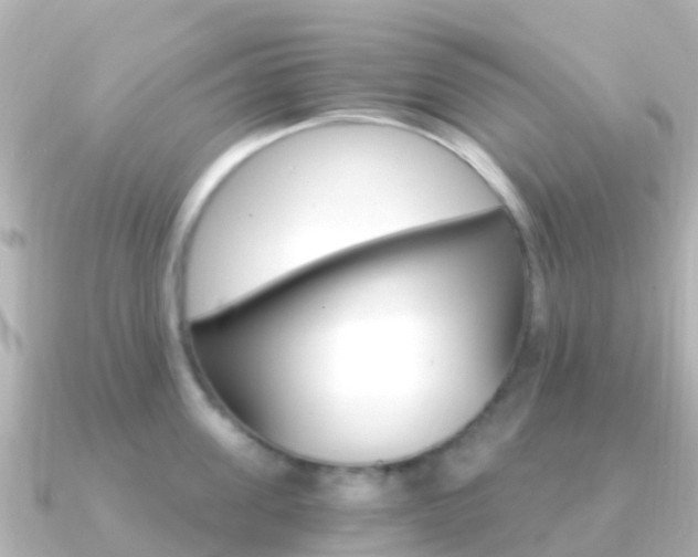 X0000091360955200708101052