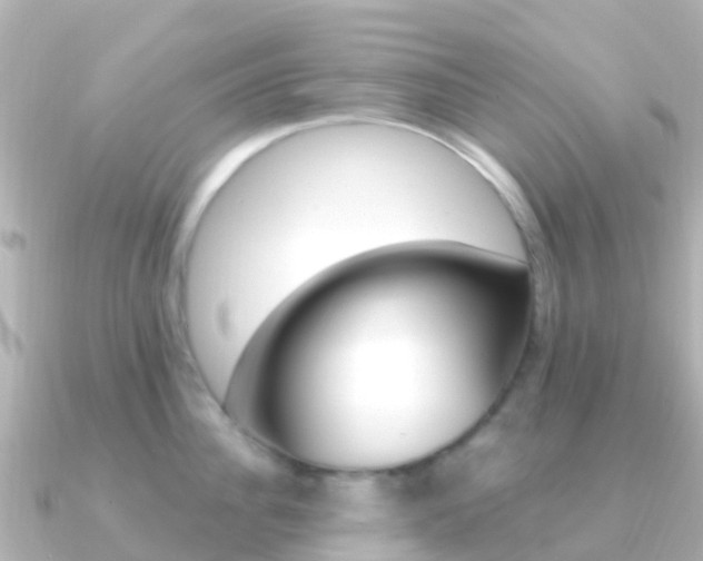 X0000091360956200708101052