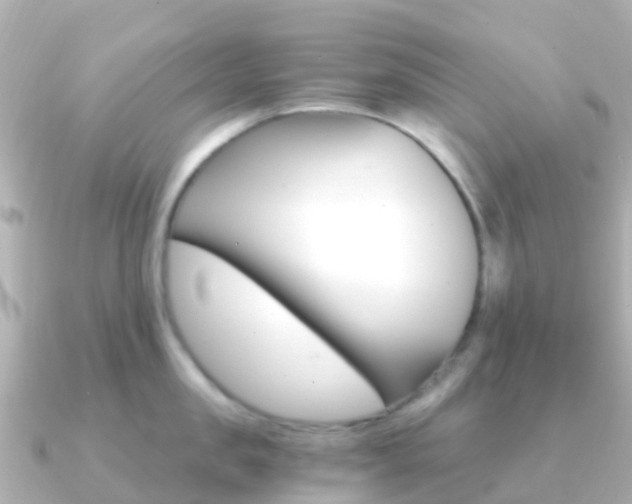 X0000091360957200708101052
