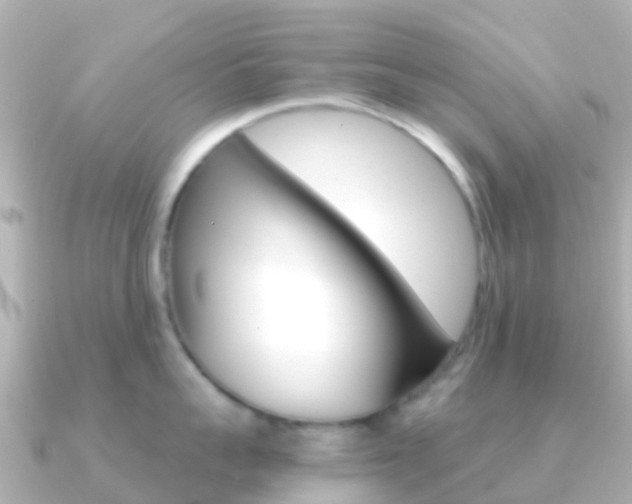 X0000091360959200708101052