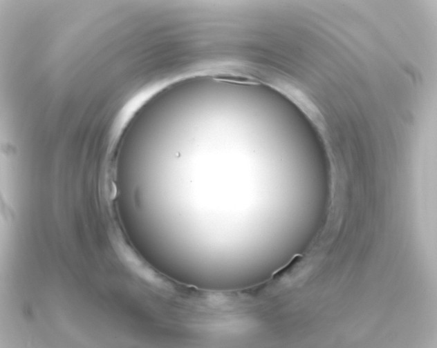 X0000091360960200708101052