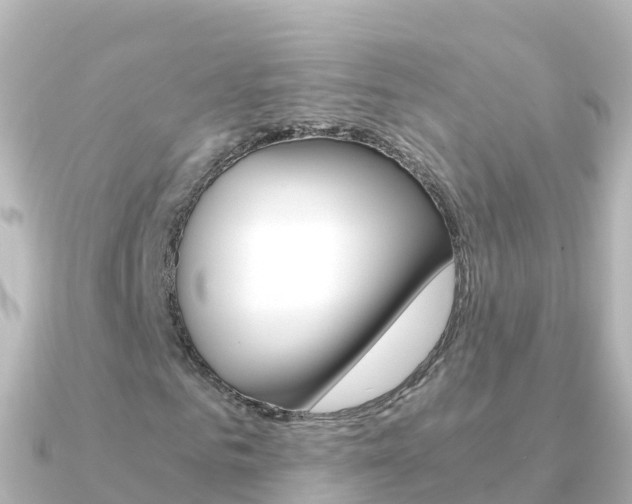 X0000091360961200708101052