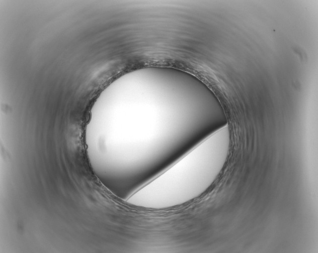 X0000091360964200708101052