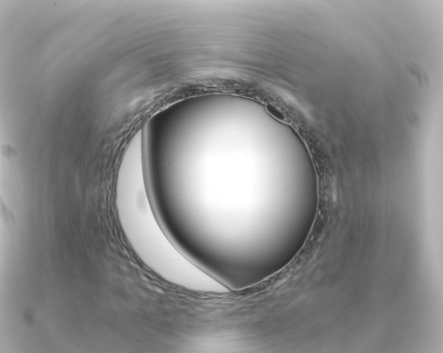 X0000091360965200708101052