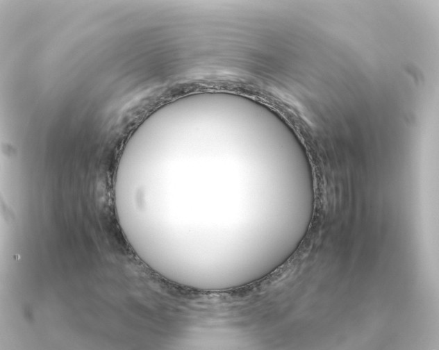 X0000091360966200708101052