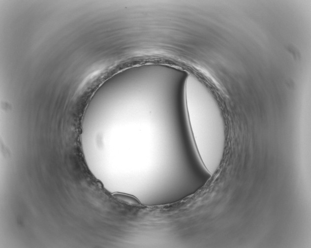 X0000091360967200708101052