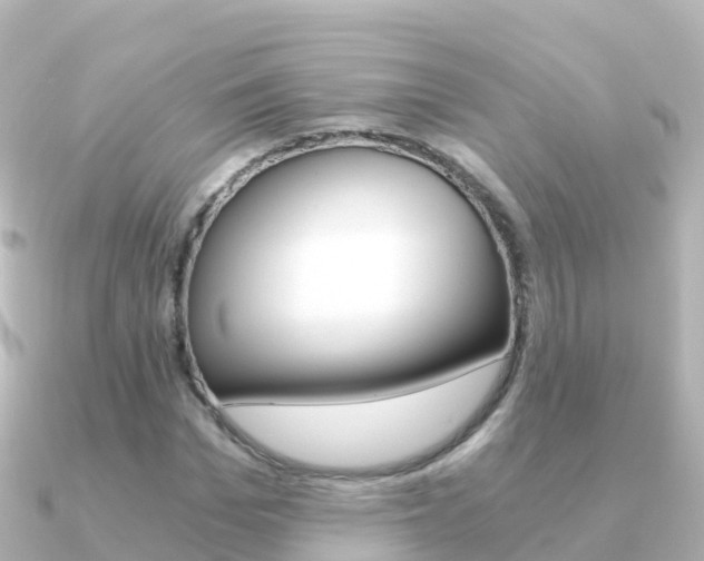 X0000091360969200708101052