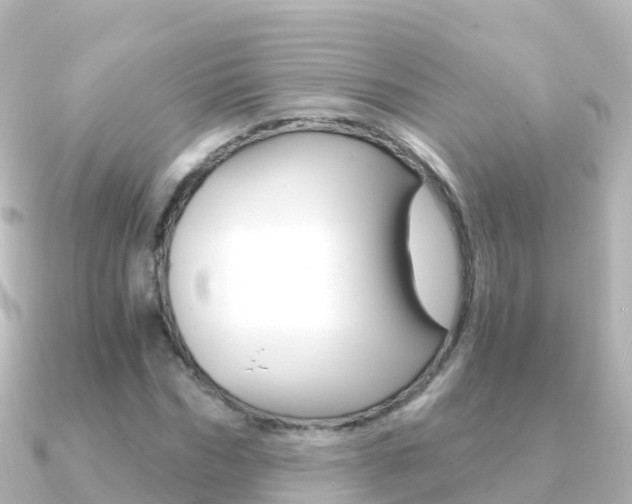 X0000091360970200708101052