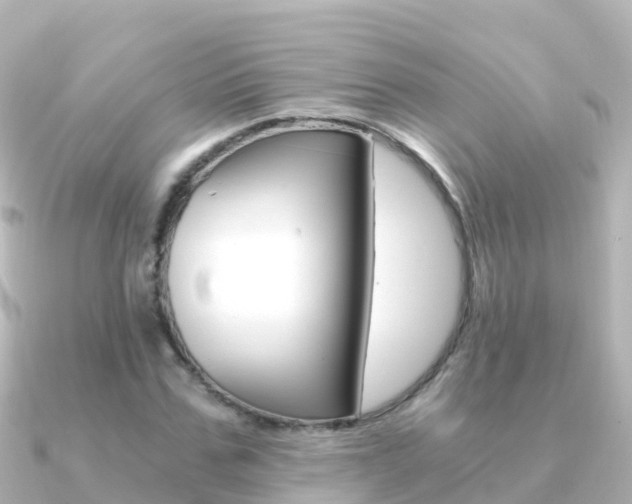 X0000091360971200708101052