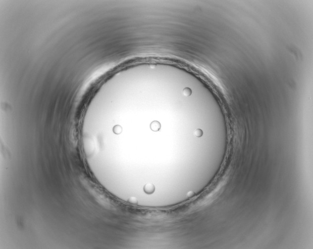 X0000091360974200708101052