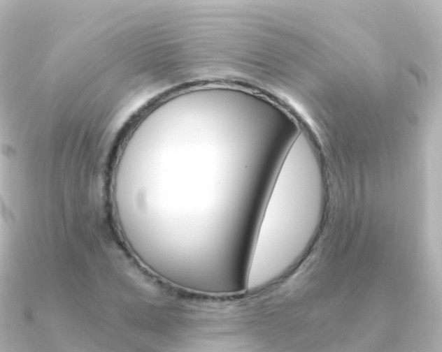 X0000091360975200708101052