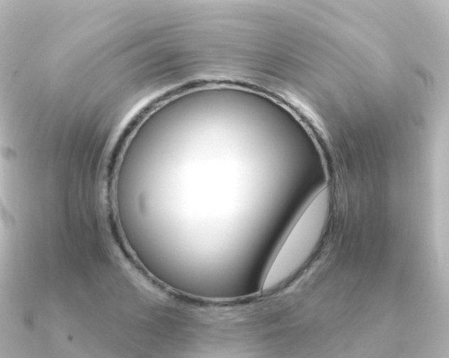 X0000091360976200708101052
