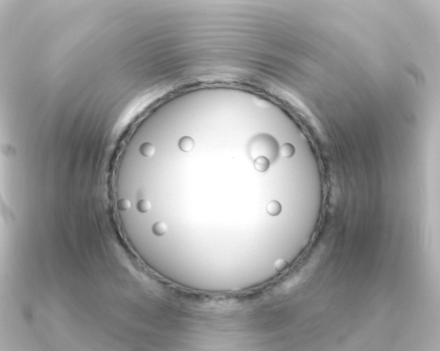 X0000091360978200708101052
