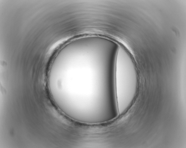 X0000091360979200708101051