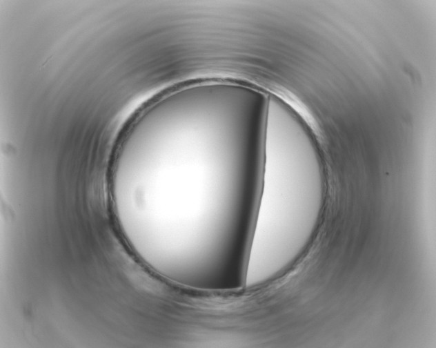 X0000091360980200708101051