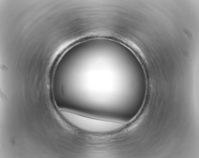X0000091360981200708101051