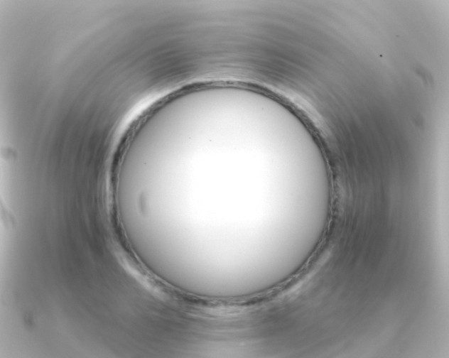 X0000091360982200708101051