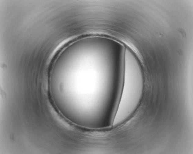 X0000091360984200708101051