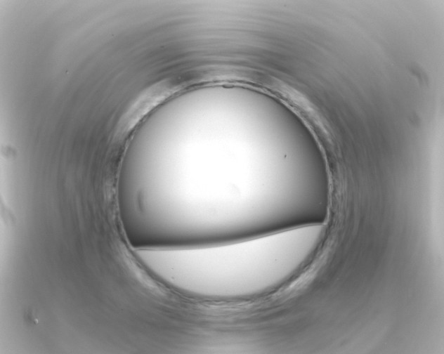 X0000091360985200708101051
