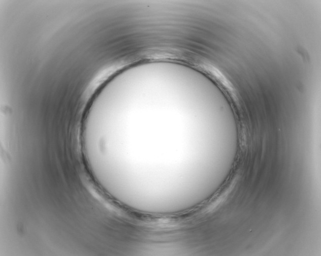 X0000091360986200708101051