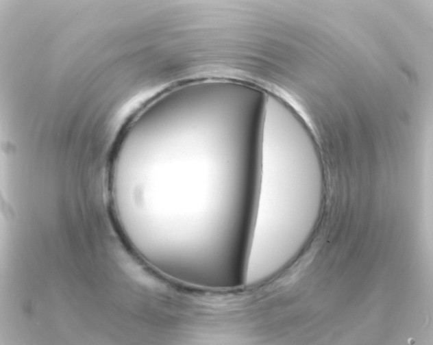 X0000091360987200708101051
