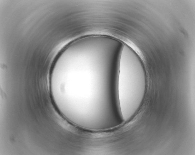 X0000091360988200708101051