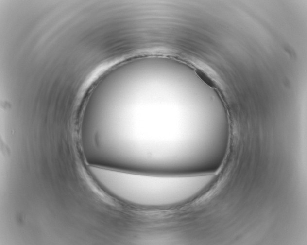 X0000091360989200708101051