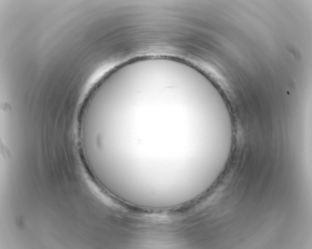 X0000091360990200708101051