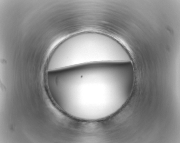 X0000091360991200708101051