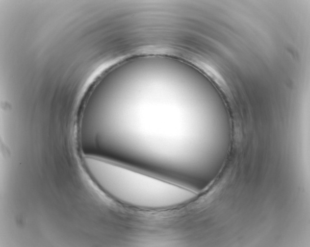 X0000091360992200708101051