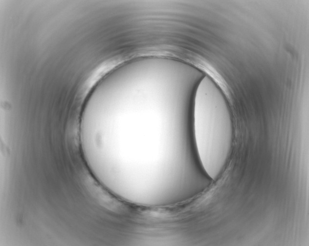 X0000091360994200708101051