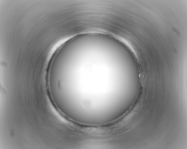 X0000091360995200708101051