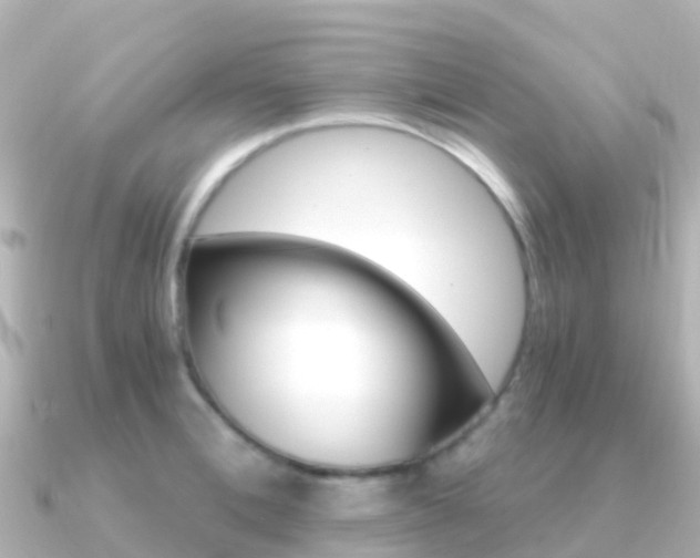 X0000091360996200708101051