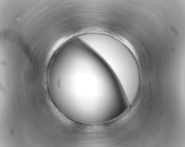 X0000091360997200708101051