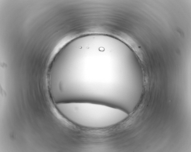 X0000091360998200708101051